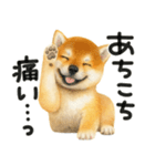 柴犬♡やる気ゼロ子犬（個別スタンプ：25）