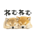 柴犬♡やる気ゼロ子犬（個別スタンプ：27）