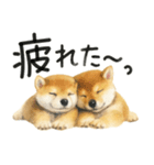 柴犬♡やる気ゼロ子犬（個別スタンプ：28）