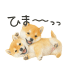 柴犬♡やる気ゼロ子犬（個別スタンプ：29）