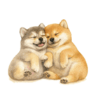 柴犬♡やる気ゼロ子犬（個別スタンプ：30）