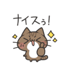 にゃんこの推し活スタンプ（個別スタンプ：13）