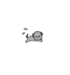 やさしいチワプー『超ミニサイズ！』（個別スタンプ：21）