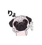 ゆるく尻尾をふるパグ（個別スタンプ：1）