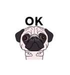 ゆるく尻尾をふるパグ（個別スタンプ：2）