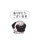 ゆるく尻尾をふるパグ（個別スタンプ：3）