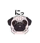 ゆるく尻尾をふるパグ（個別スタンプ：6）
