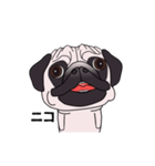 ゆるく尻尾をふるパグ（個別スタンプ：9）