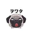 ゆるく尻尾をふるパグ（個別スタンプ：11）