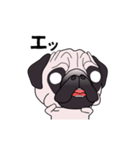 ゆるく尻尾をふるパグ（個別スタンプ：13）