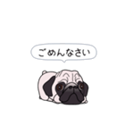 ゆるく尻尾をふるパグ（個別スタンプ：14）