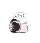 ゆるく尻尾をふるパグ（個別スタンプ：16）