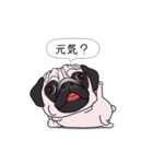ゆるく尻尾をふるパグ（個別スタンプ：17）