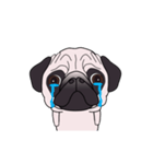 ゆるく尻尾をふるパグ（個別スタンプ：19）