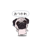 ゆるく尻尾をふるパグ（個別スタンプ：22）