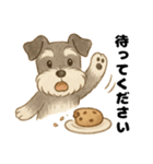シュナウザー/とにかく使いやすい秋の日常（個別スタンプ：21）