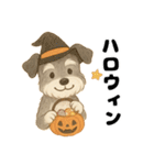 シュナウザー/とにかく使いやすい秋の日常（個別スタンプ：26）