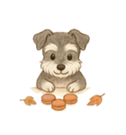 シュナウザー/とにかく使いやすい秋の日常（個別スタンプ：38）