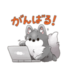 毎日使える！ゆるふわオオカミのぺーちゃん（個別スタンプ：7）