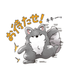 毎日使える！ゆるふわオオカミのぺーちゃん（個別スタンプ：31）