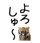 老眼でも見える虎【関西弁】2（個別スタンプ：2）
