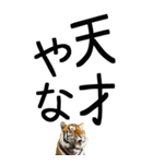 老眼でも見える虎【関西弁】2（個別スタンプ：3）