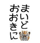 老眼でも見える虎【関西弁】2（個別スタンプ：5）