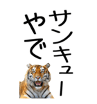 老眼でも見える虎【関西弁】2（個別スタンプ：8）