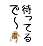 老眼でも見える虎【関西弁】2（個別スタンプ：10）
