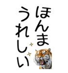 老眼でも見える虎【関西弁】2（個別スタンプ：13）