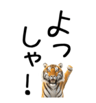 老眼でも見える虎【関西弁】2（個別スタンプ：14）