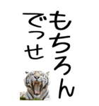 老眼でも見える虎【関西弁】2（個別スタンプ：16）
