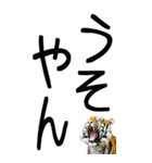 老眼でも見える虎【関西弁】2（個別スタンプ：17）