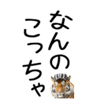 老眼でも見える虎【関西弁】2（個別スタンプ：19）