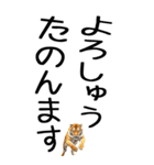 老眼でも見える虎【関西弁】2（個別スタンプ：21）