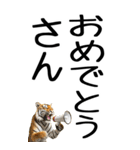 老眼でも見える虎【関西弁】2（個別スタンプ：24）
