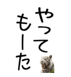 老眼でも見える虎【関西弁】2（個別スタンプ：25）