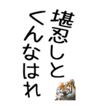老眼でも見える虎【関西弁】2（個別スタンプ：28）