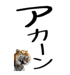 老眼でも見える虎【関西弁】2（個別スタンプ：31）