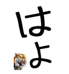 老眼でも見える虎【関西弁】2（個別スタンプ：34）