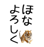 老眼でも見える虎【関西弁】2（個別スタンプ：39）
