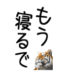 老眼でも見える虎【関西弁】2（個別スタンプ：40）