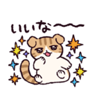 スコティッシュフォールドです 2（個別スタンプ：1）