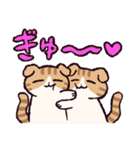 スコティッシュフォールドです 2（個別スタンプ：2）