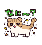 スコティッシュフォールドです 2（個別スタンプ：3）
