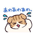 スコティッシュフォールドです 2（個別スタンプ：4）