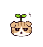 スコティッシュフォールドです 2（個別スタンプ：9）