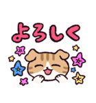 スコティッシュフォールドです 2（個別スタンプ：10）