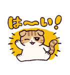スコティッシュフォールドです 2（個別スタンプ：11）