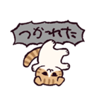 スコティッシュフォールドです 2（個別スタンプ：13）